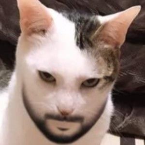 Meet your Posher, Connor